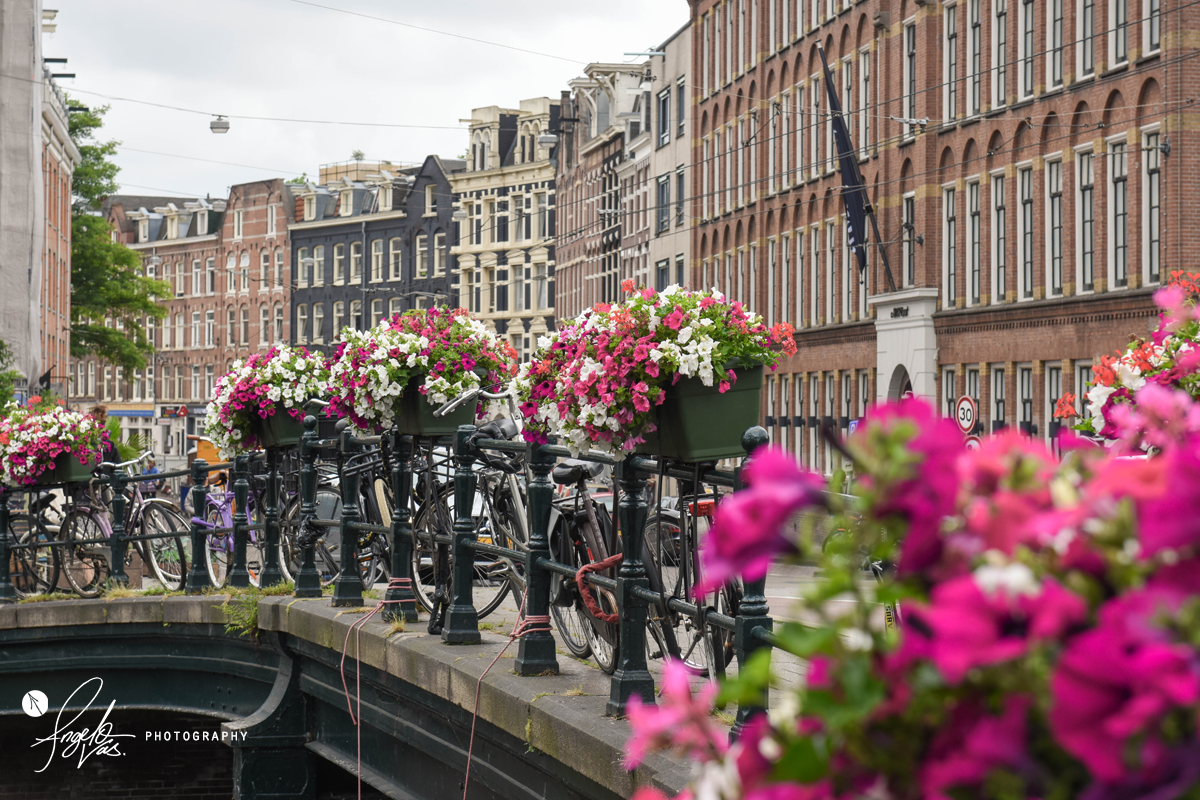 Dutch Cityscape - Amsterdam, Holland