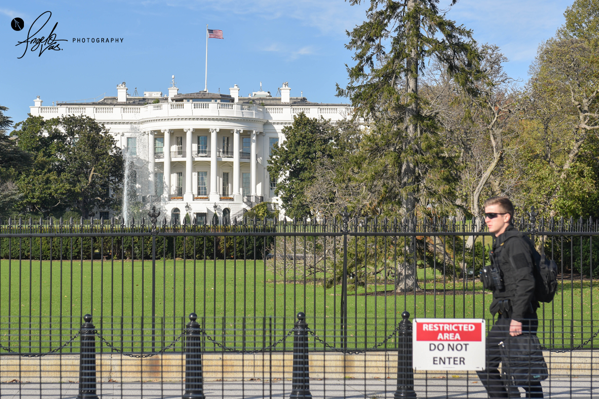 The White House - Washington DC, USA