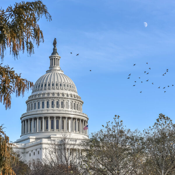 Washington DC, USA - Gallery Photo