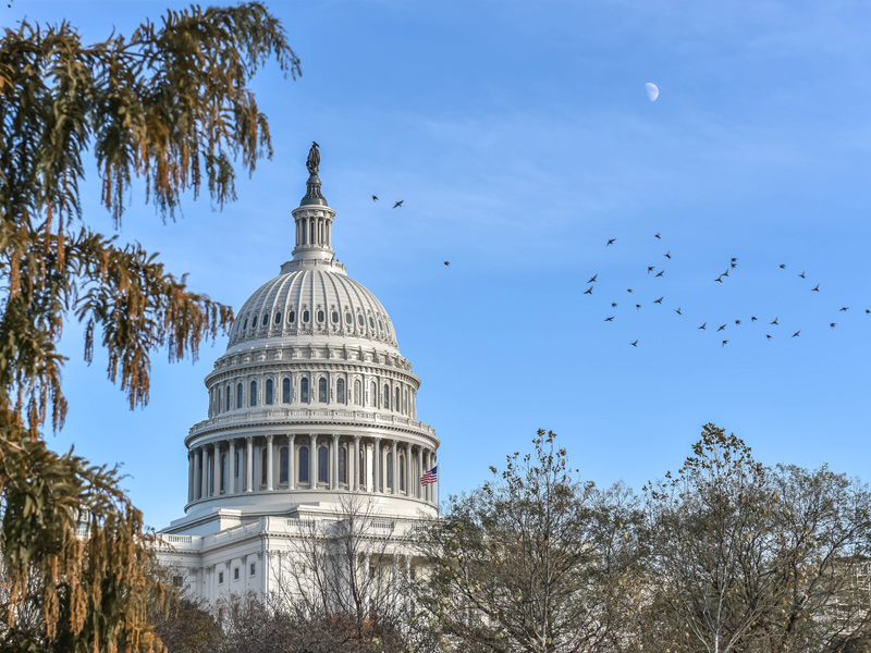 Washington DC, USA - Gallery Photo