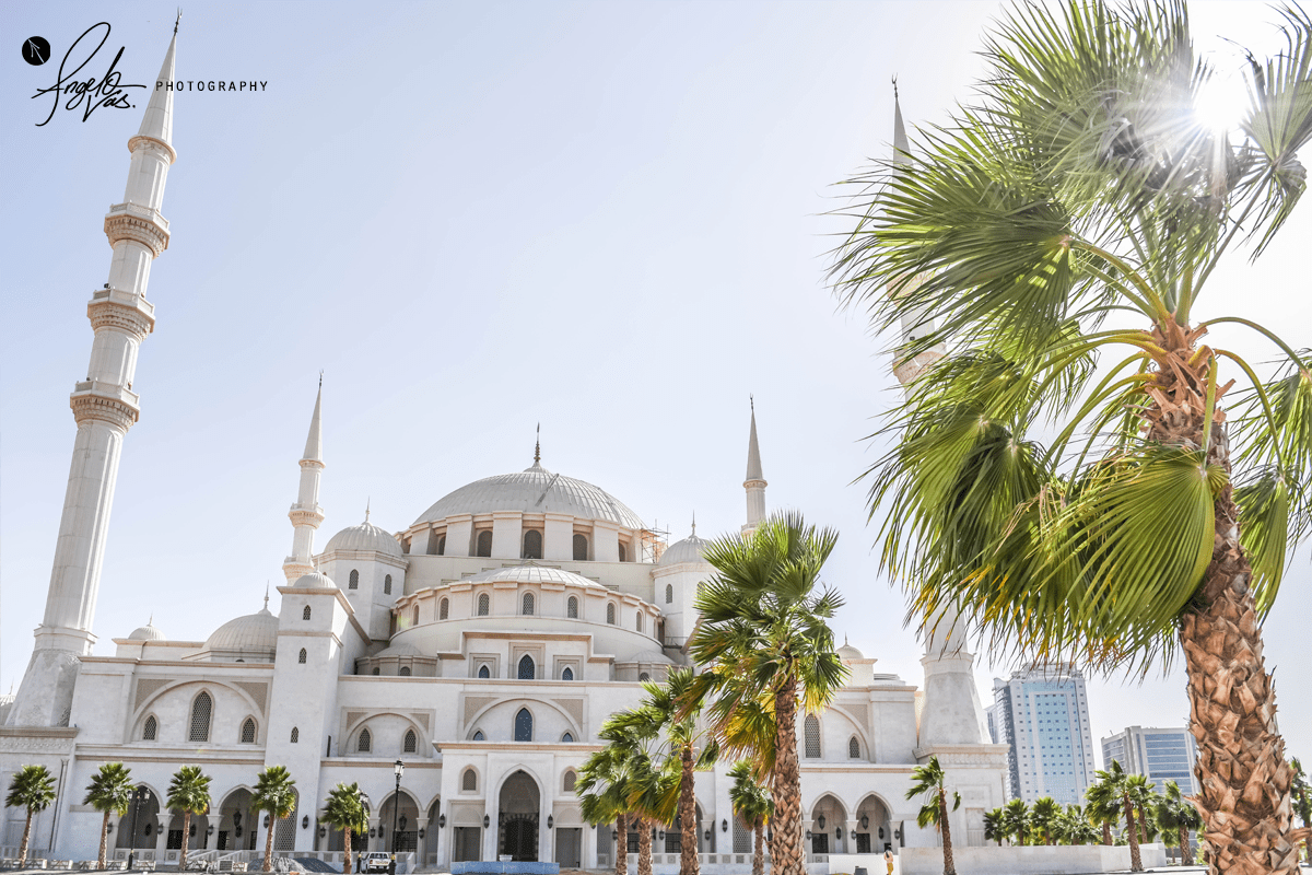 Mosque And Palm Trees - Fujairah, UAE
