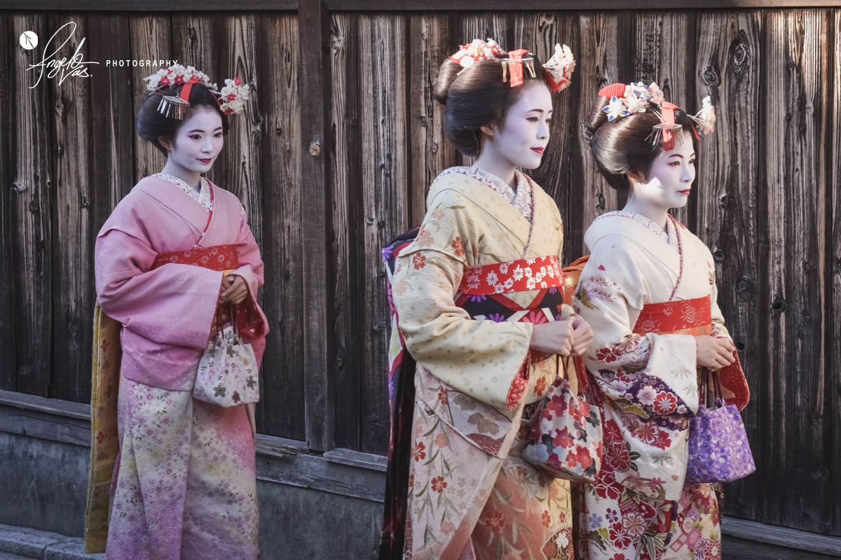 Graceful Geishas - Kyoto, Japan