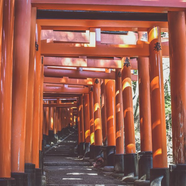 Kyoto, Japan - Gallery Photo