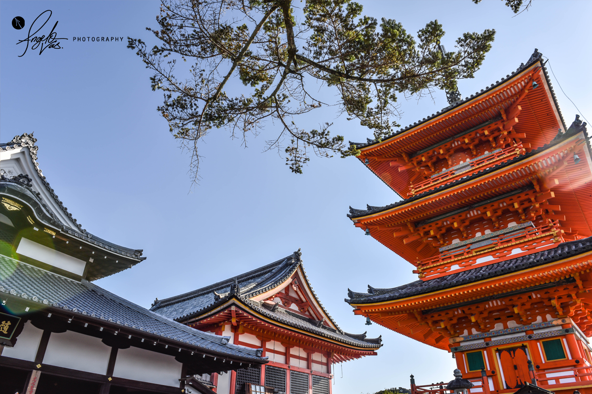 Temples & Temples - Kyoto, Japan
