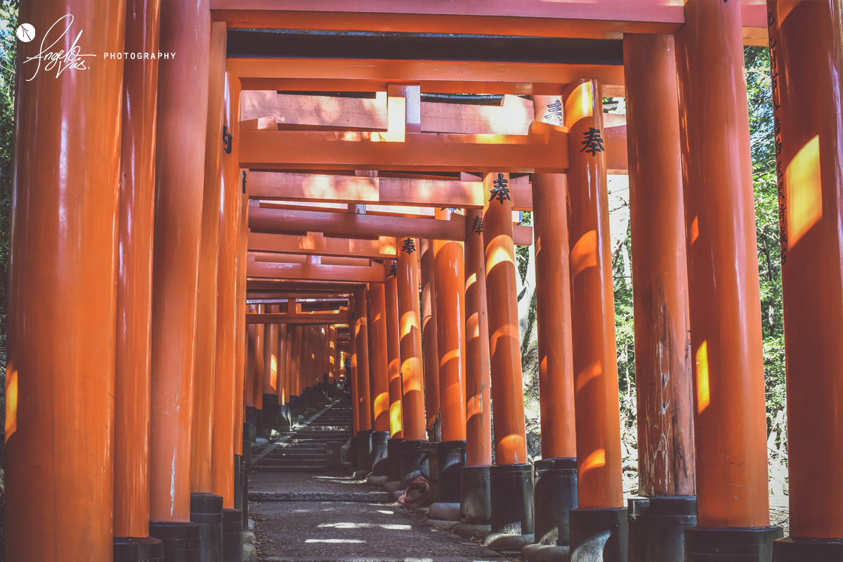 Torii Gates - Kyoto, Japan