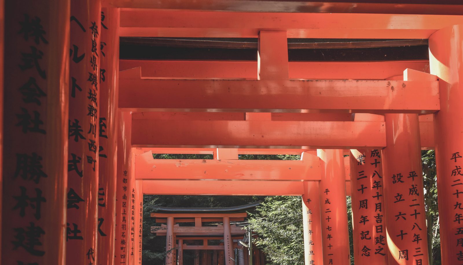Angelo Vas Photography - Kyoto Fushimi Inari Taisha Hero Slider
