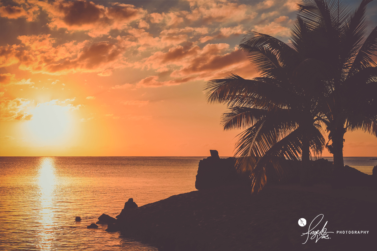Sunset Silhouettes - Mauritius