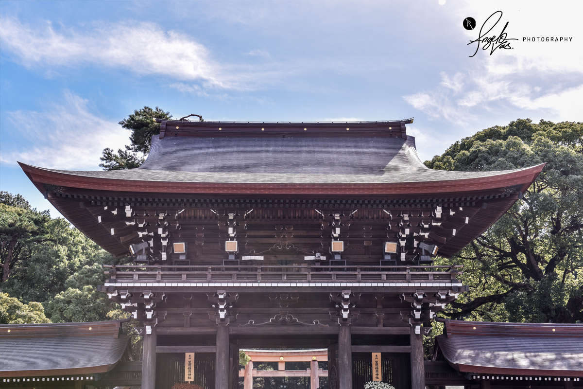 Meiji Jingu Shrine - Tokyo, Japan