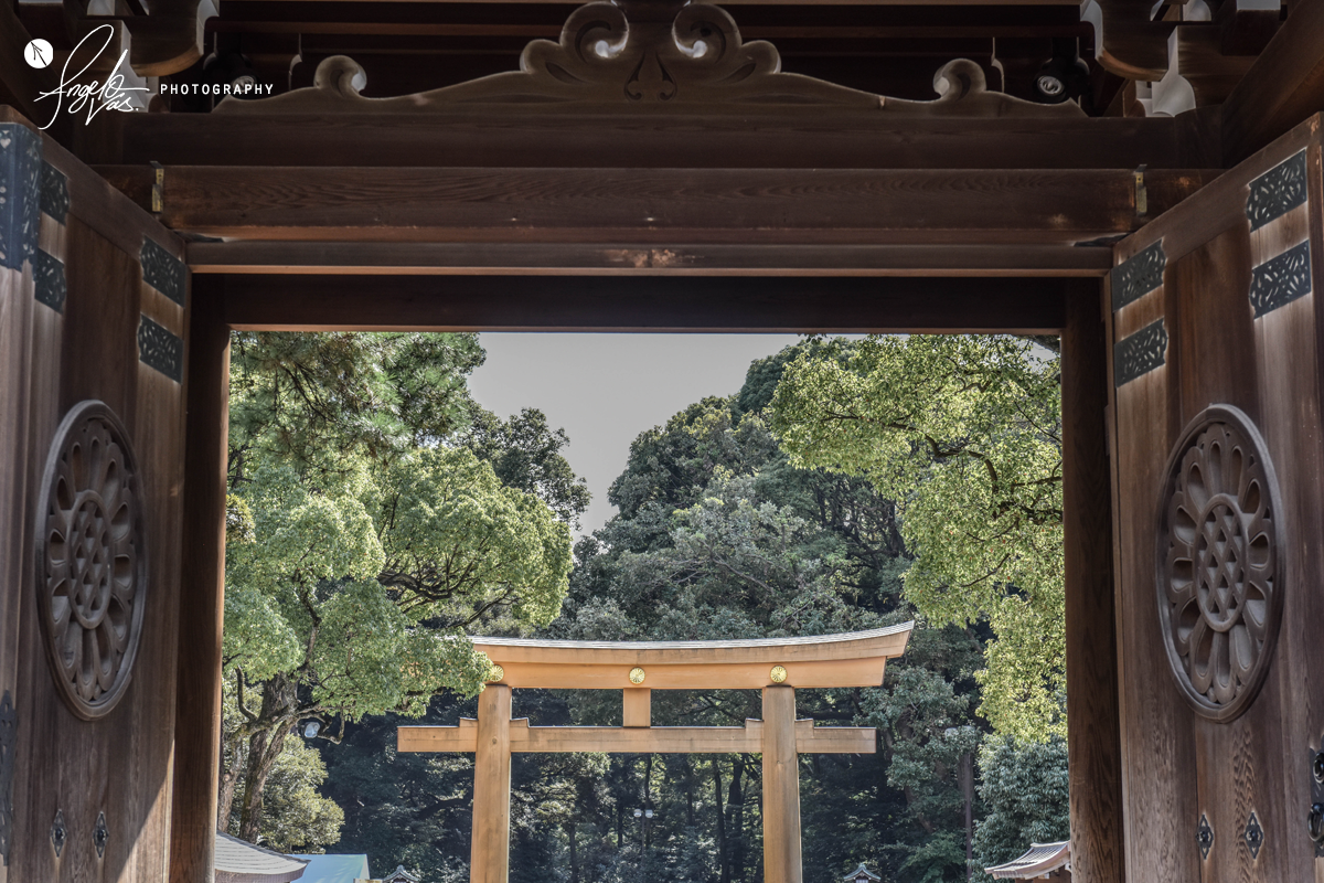 Temple Doors - Tokyo, Japan